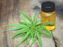About CBD Oil and Cannabinol Oil